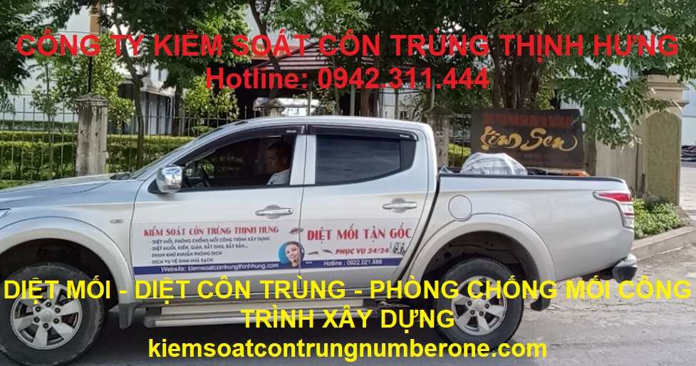 Công ty kiểm soát mối và côn trùng Thịnh Hưng