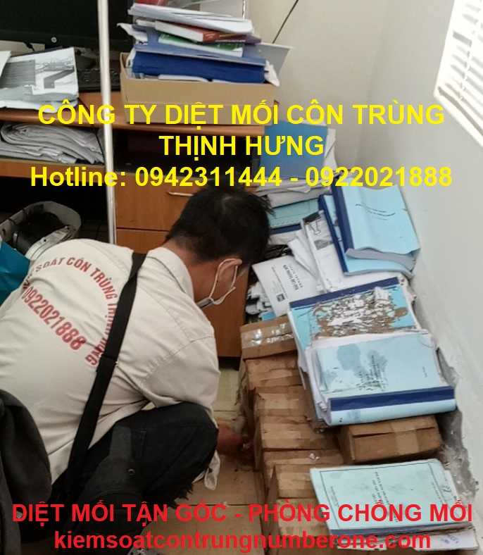 Diệt mối tại khu vực phòng hồ sơ công ty