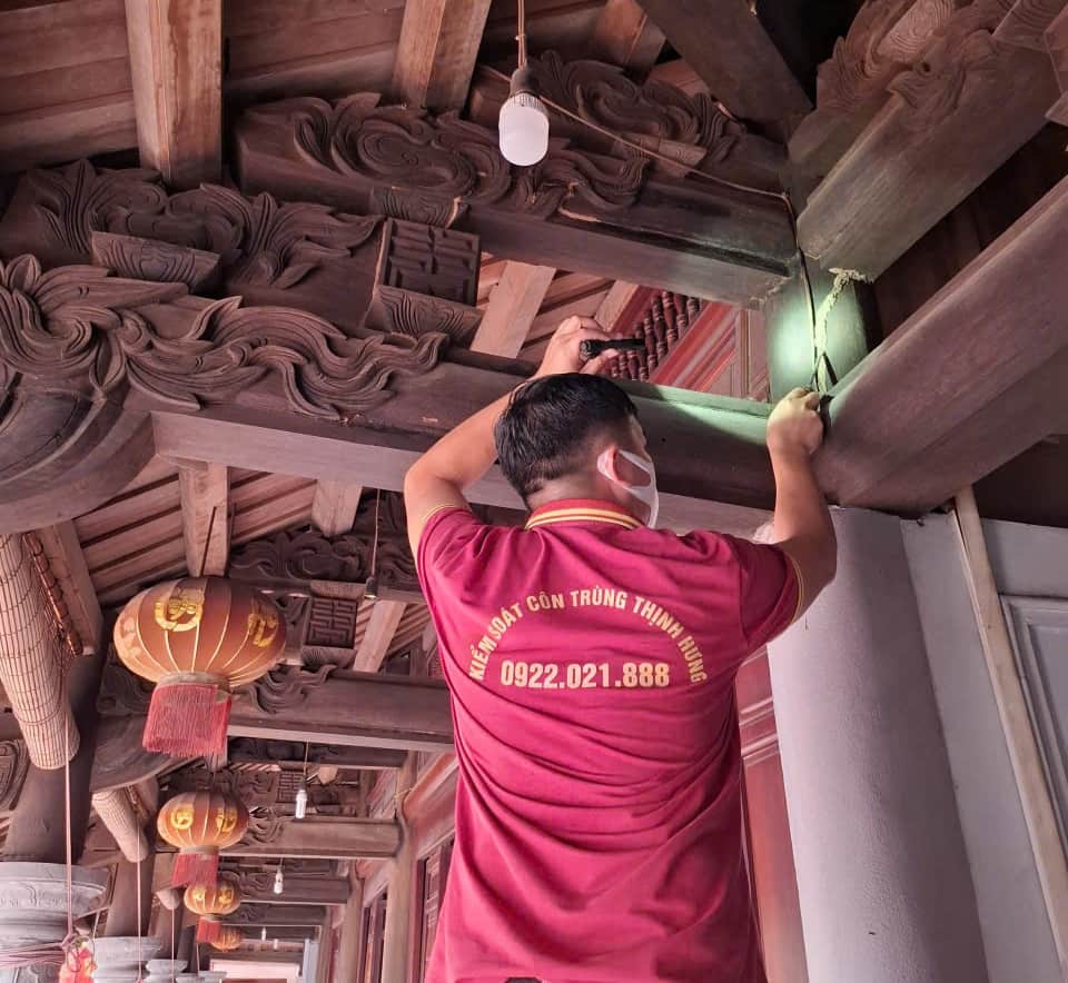 khảo sát mối tại cột nhà gỗ 