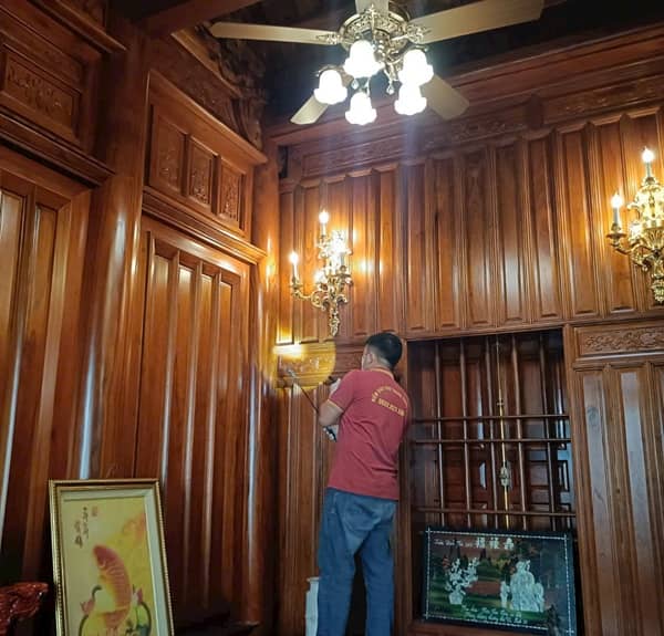 Phun phòng mối sau khi xử lý hết mối